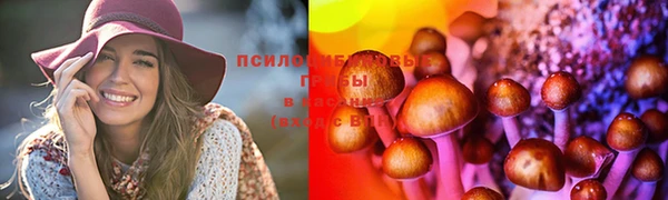МДПВ Абинск