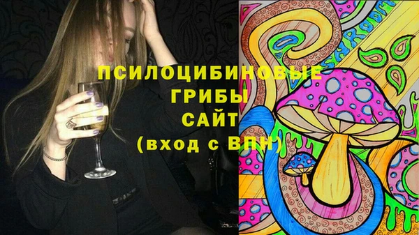 МДПВ Абинск