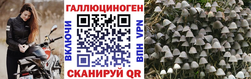 что такое наркотик  Чухлома  Псилоцибиновые грибы Cubensis 